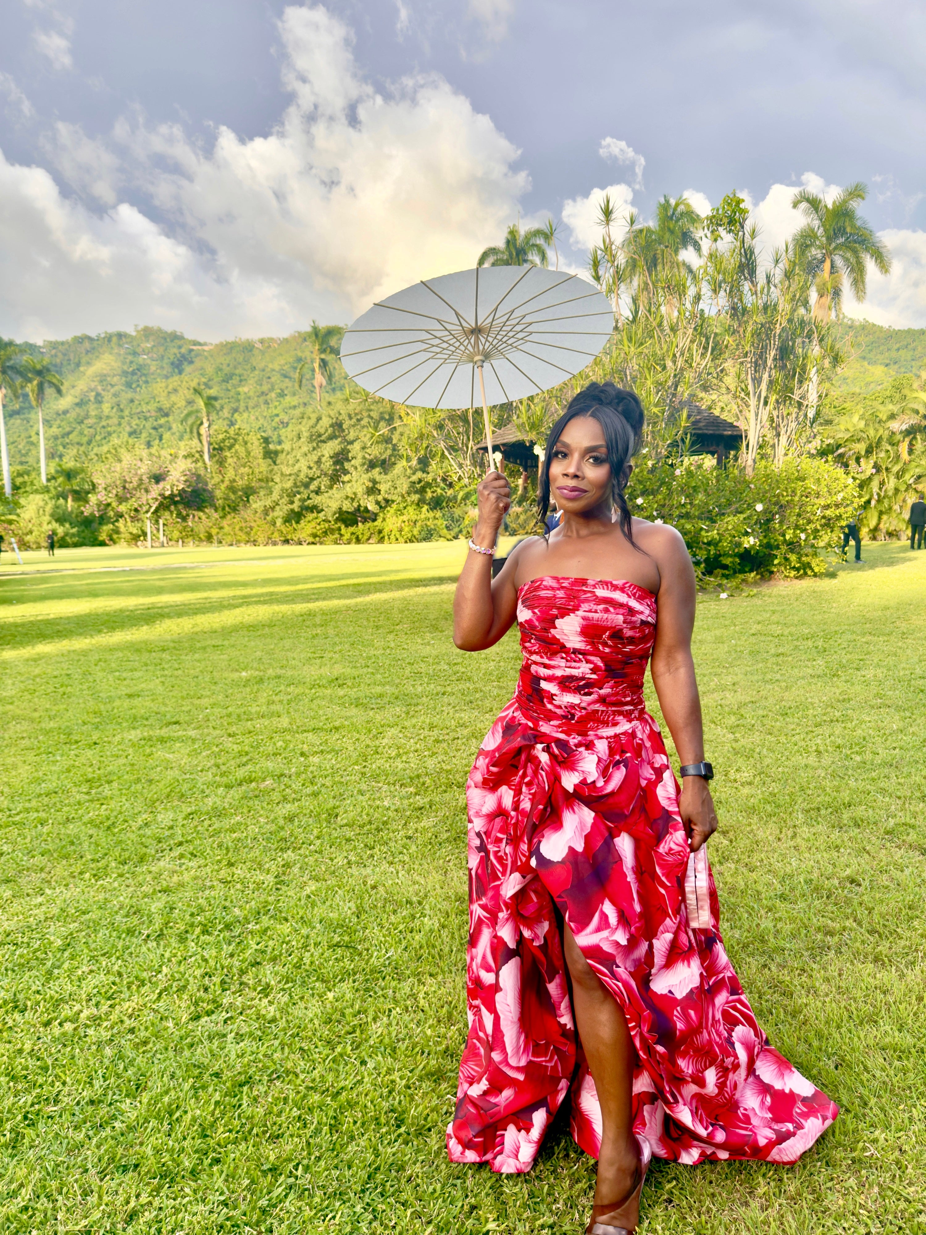 Rose Romance Dress