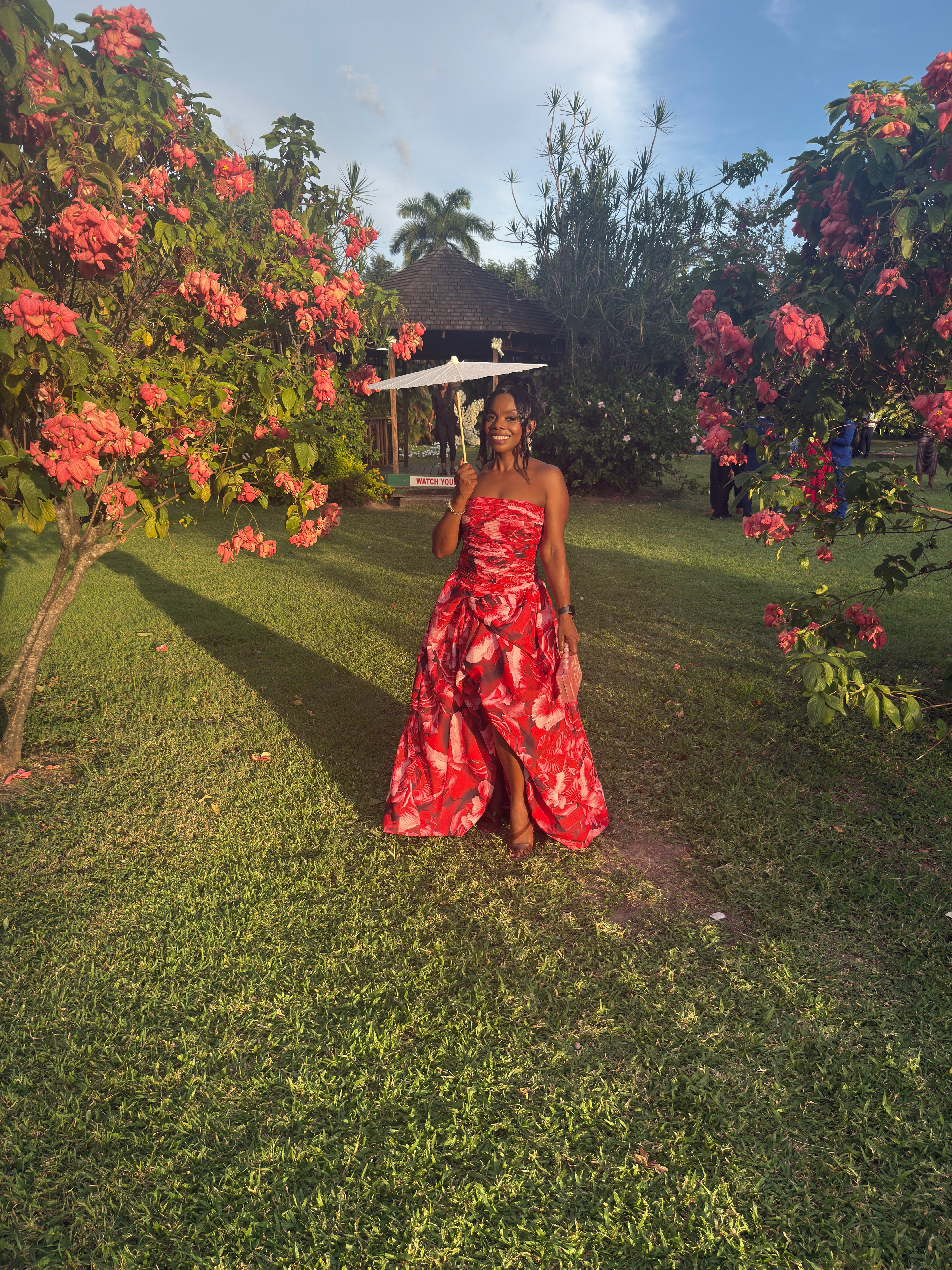 Rose Romance Dress