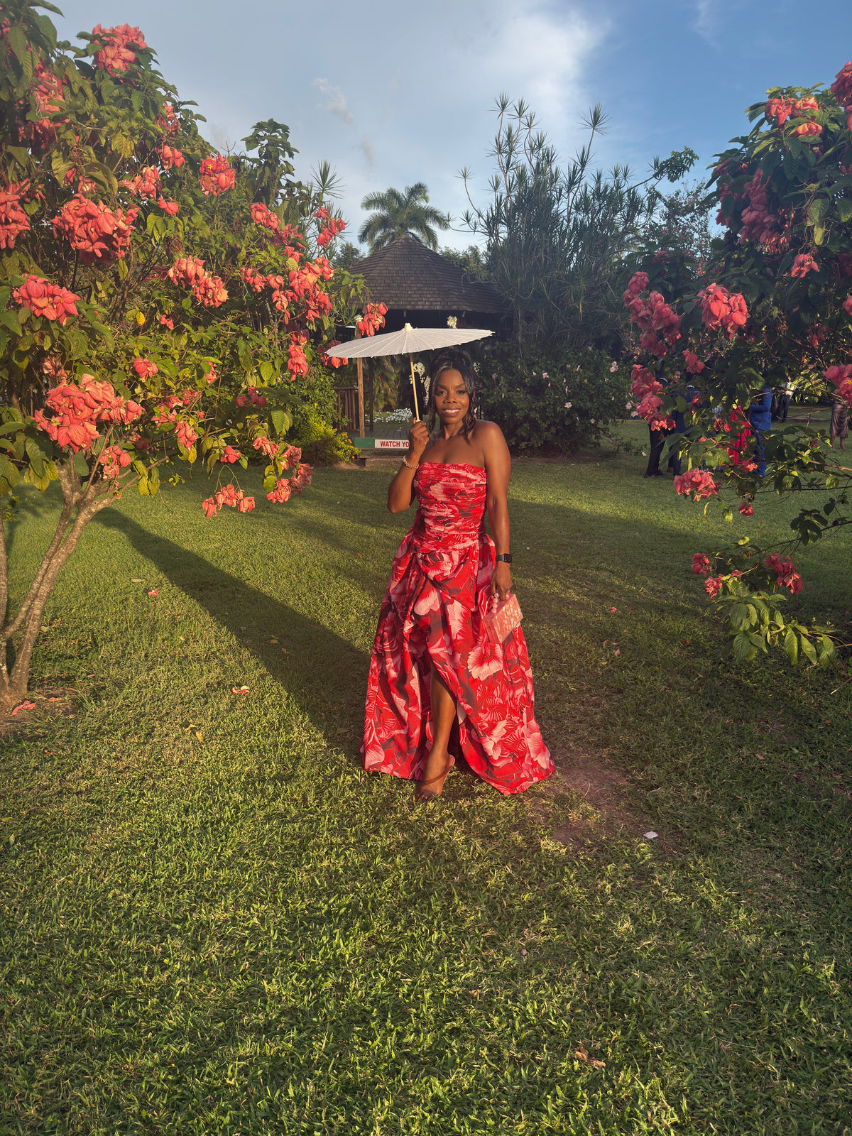 Rose Romance Dress