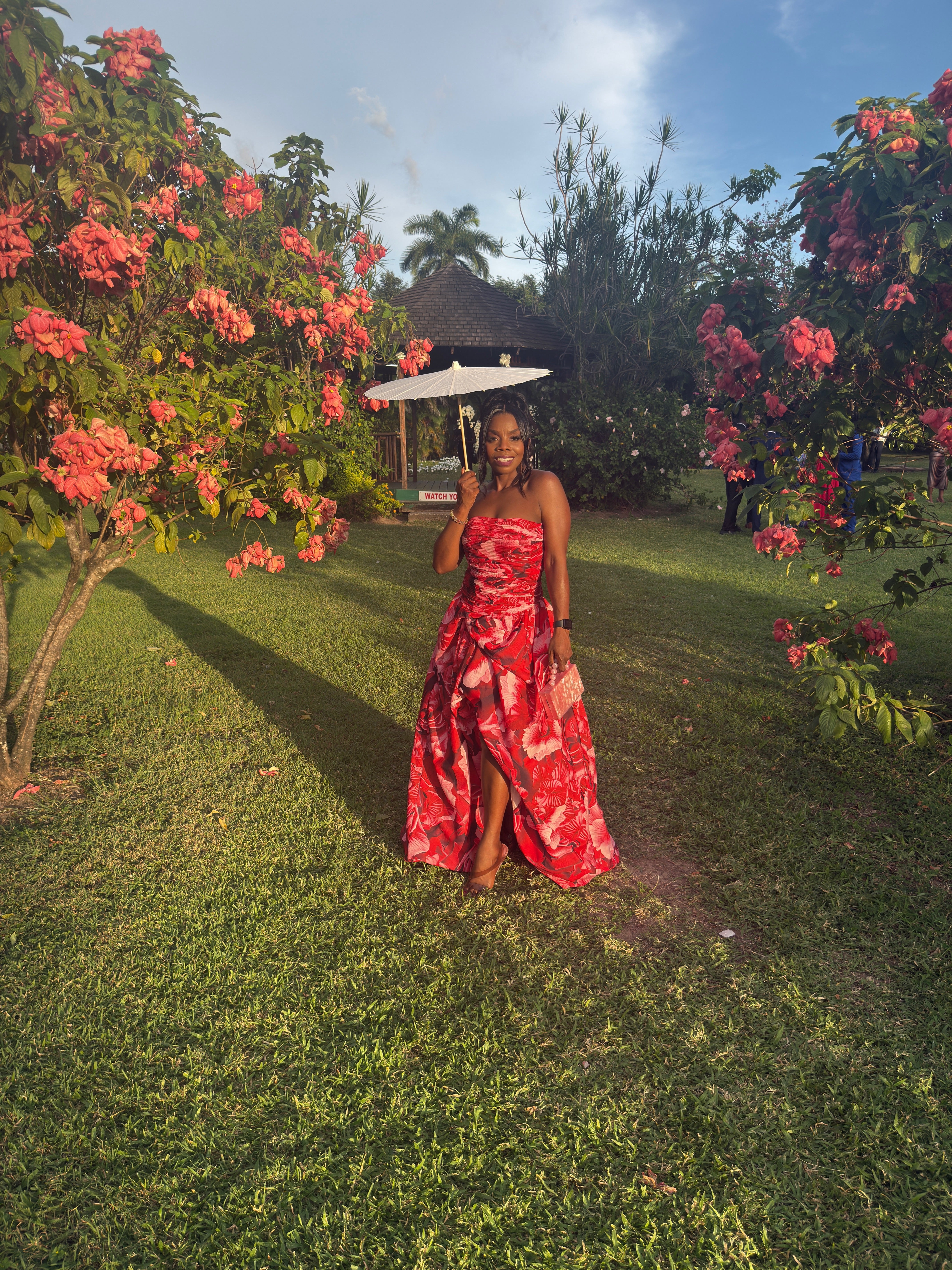 Rose Romance Dress