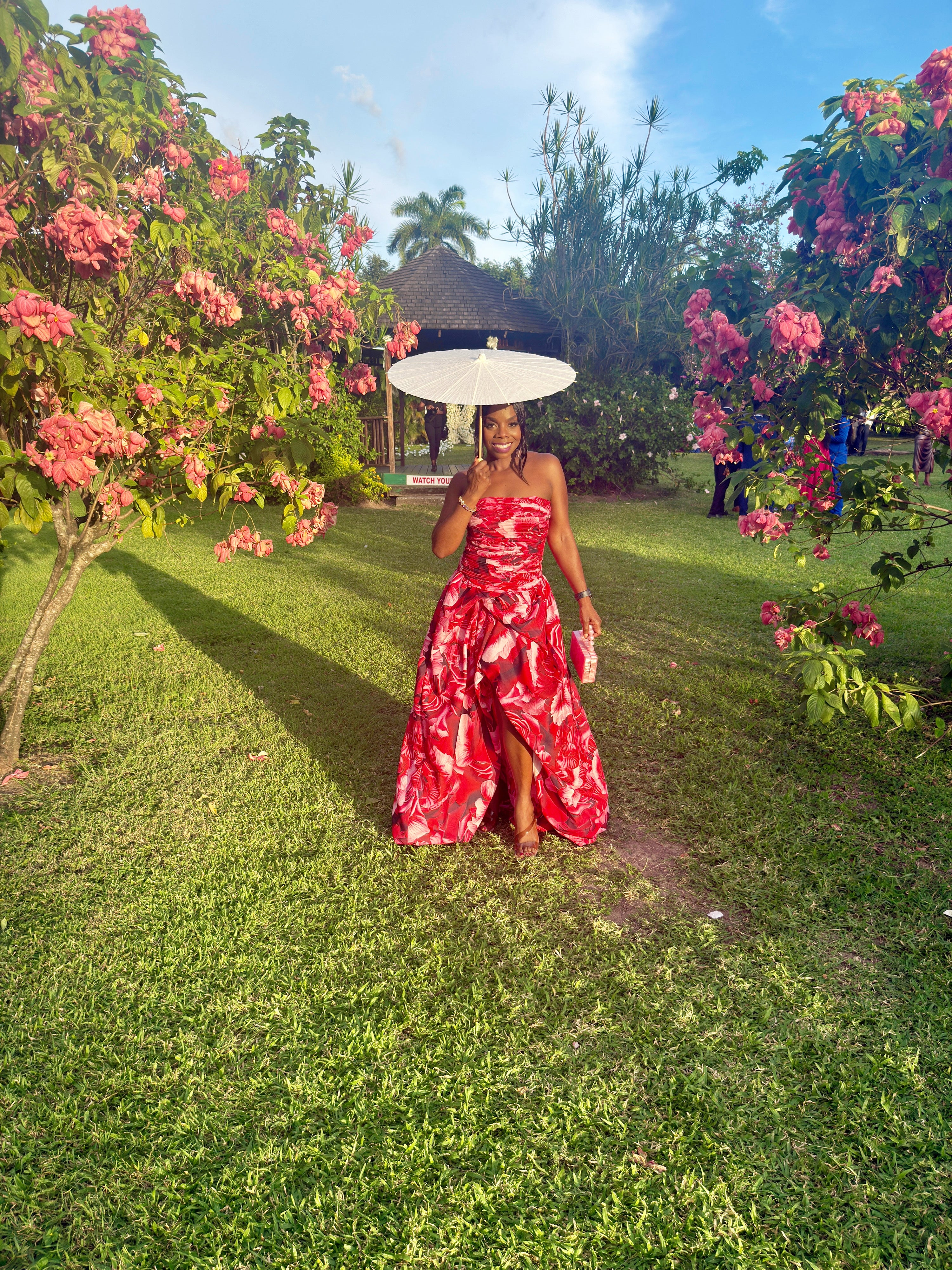Rose Romance Dress