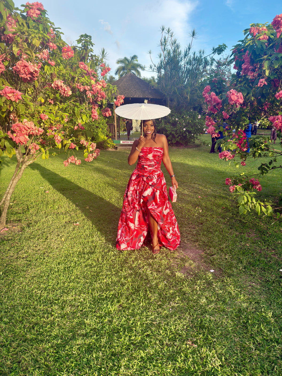Rose Romance Dress