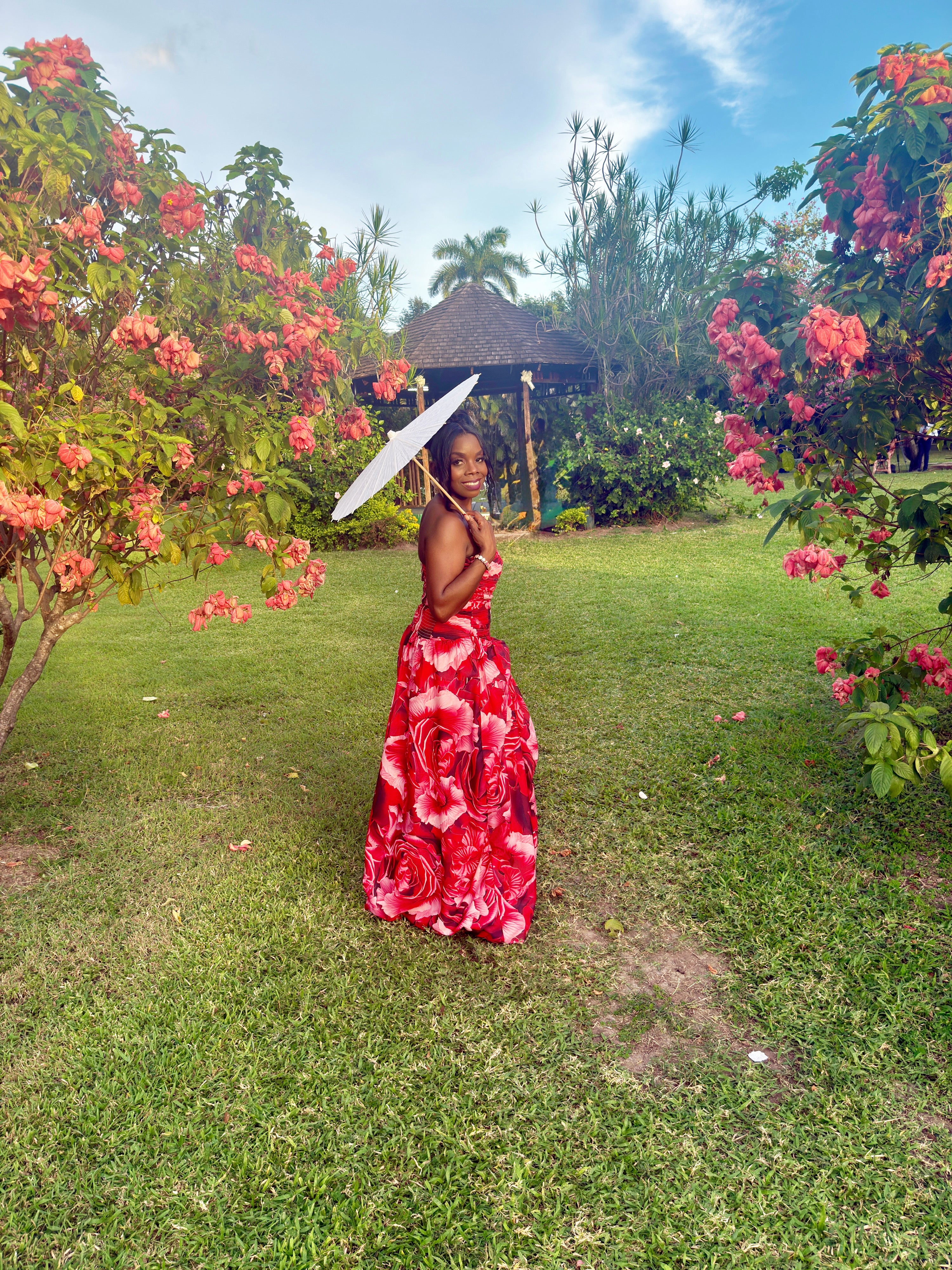 Rose Romance Dress