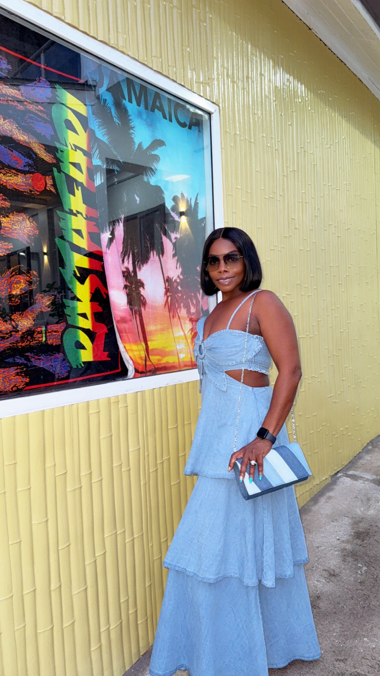 Silesha Denim Dress