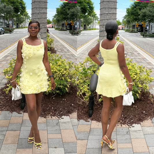 Belle Fleur Dress